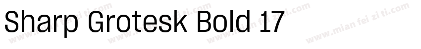 Sharp Grotesk Bold 17字体转换
